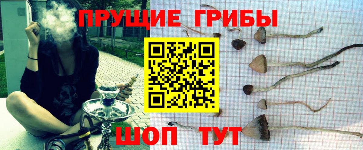 Псилоцибиновые грибы Psilocybine cubensis  наркотики  Нальчик  Вход с VPN 