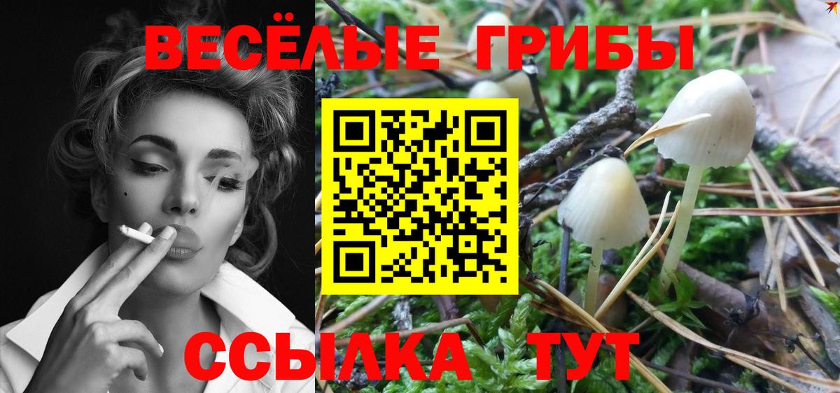Псилоцибиновые грибы GOLDEN TEACHER Нальчик